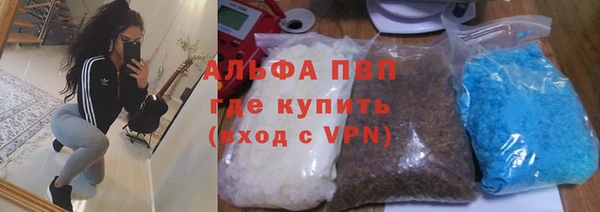 spice Бородино