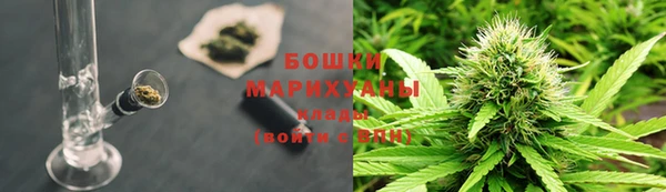 spice Бородино