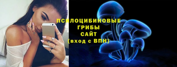 spice Бородино