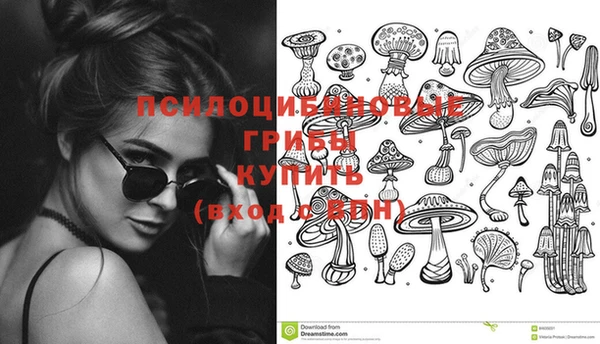 гидропоника Богданович