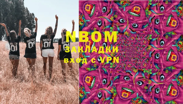 spice Бородино