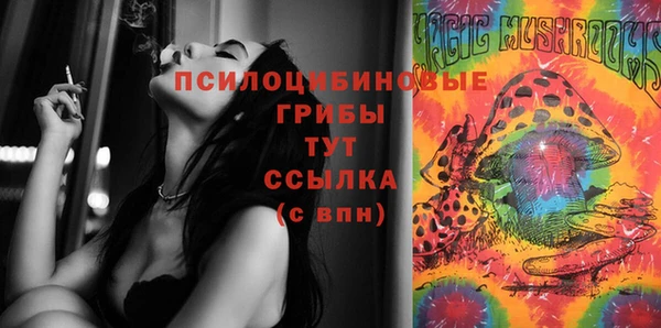ГАЛЛЮЦИНОГЕННЫЕ ГРИБЫ Бугульма