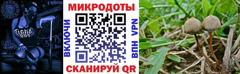 наркотики  Горно-Алтайск  Псилоцибиновые грибы ЛСД 